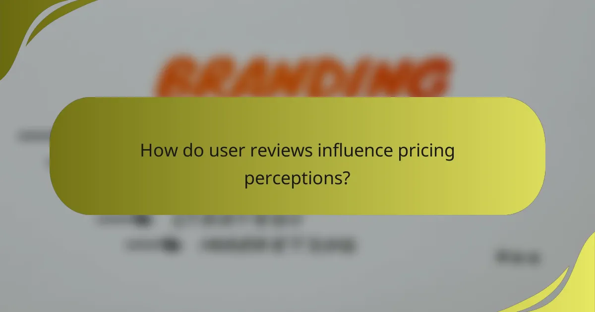 How do user reviews influence pricing perceptions?